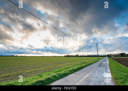 Cambridgeshire Fens, UK. 17. November 2015. Sturm-Barney füllt weiten Himmel Cambridgeshire Fens an über UK. Da das Wettersystem in angekommen begann East Anglia Wolken zogen schnell über den Himmel und der Wind Peitsche in die offene Landschaft.  Der Wind wird voraussichtlich an diesem Abend abholen und über Nacht, da der Sturm weiter ostwärts über das Vereinigte Königreich zu bewegen. Kredit Julian Eales/Alamy Live-Nachrichten Stockfoto