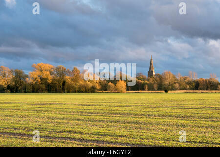 Cambridgeshire Fens, UK. 17. November 2015. Str. Marys Kirche in der Ortschaft über, sticht Cambridgeshire UK gegen dunkle Wolken als Sturm Barney den weiten Himmel über Cambridgeshire Fens füllt. Da das Wettersystem in angekommen begann East Anglia Wolken zogen schnell über den Himmel und der Wind Peitsche in die offene Landschaft.  Der Wind wird voraussichtlich an diesem Abend abholen und über Nacht, da der Sturm weiter ostwärts über das Vereinigte Königreich zu bewegen. Kredit Julian Eales/Alamy Live-Nachrichten Stockfoto