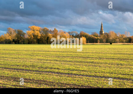 Cambridgeshire Fens, UK. 17. November 2015. Str. Marys Kirche in der Ortschaft über, sticht Cambridgeshire UK gegen dunkle Wolken als Sturm Barney den weiten Himmel über Cambridgeshire Fens füllt. Da das Wettersystem in angekommen begann East Anglia Wolken zogen schnell über den Himmel und der Wind Peitsche in die offene Landschaft.  Der Wind wird voraussichtlich an diesem Abend abholen und über Nacht, da der Sturm weiter ostwärts über das Vereinigte Königreich zu bewegen. Kredit Julian Eales/Alamy Live-Nachrichten Stockfoto