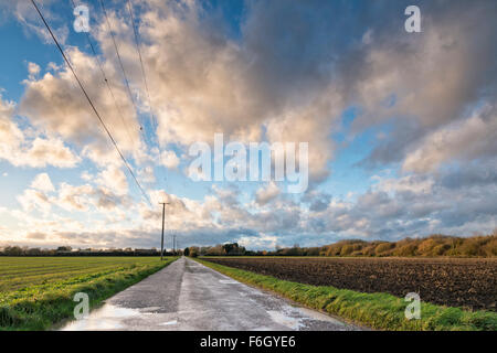 Cambridgeshire Fens, UK. 17. November 2015. Sturm-Barney füllt weiten Himmel Cambridgeshire Fens an über UK. Da das Wettersystem in angekommen begann East Anglia Wolken zogen schnell über den Himmel und der Wind Peitsche in die offene Landschaft.  Der Wind wird voraussichtlich an diesem Abend abholen und über Nacht, da der Sturm weiter ostwärts über das Vereinigte Königreich zu bewegen. Kredit Julian Eales/Alamy Live-Nachrichten Stockfoto