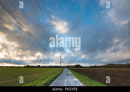 Cambridgeshire Fens, UK. 17. November 2015. Sturm-Barney füllt weiten Himmel Cambridgeshire Fens an über UK. Da das Wettersystem in angekommen begann East Anglia Wolken zogen schnell über den Himmel und der Wind Peitsche in die offene Landschaft.  Der Wind wird voraussichtlich an diesem Abend abholen und über Nacht, da der Sturm weiter ostwärts über das Vereinigte Königreich zu bewegen. Kredit Julian Eales/Alamy Live-Nachrichten Stockfoto