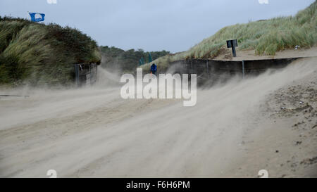 Pembrey Strand, Süd-Wales, UK, Dienstag, 17. November 2015. Trotz Gales Böen bis zu 50 km/h in den südlichsten Teilen von Wales kämpft ein Mann um ein Fahrrad auf dem Weg zum Strand gegen wirbelnden und Flugsand, Pembrey Country Park, in der Nähe von Llanelli, Carmarthenshire, Wales, UK zu schieben. Stockfoto