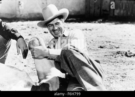 1938, Filmtitel: COWBOY und die Dame, Regisseur: H C POTTER, Studio: GOLDWYN, abgebildet: Kleidung, GARY COOPER, COWBOY, Hut, Pferd, H C POTTER, westlichen. (Bild Kredit: SNAP) Stockfoto