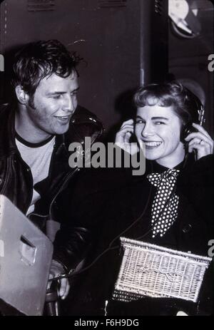 1954, Filmtitel: WILD ONE, Regisseur: LASLO BENEDEK, abgebildet: LASLO BENEDEK, JOCELYN BRANDO. (Bild Kredit: SNAP) Stockfoto