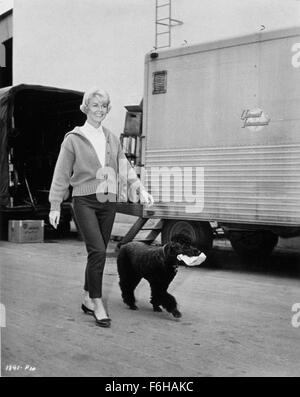 1959, Filmtitel: BETTGEFLÜSTER, Regie: MICHAEL GORDON, Bild: Tiere (mit Schauspielern), DORIS DAY, Hund. (Bild Kredit: SNAP) Stockfoto