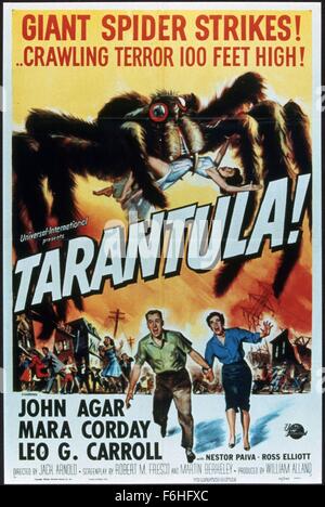 Filmtitel 1955: TARANTULA, Regie: JACK ARNOLD, Studio: UNIV. (Kredit-Bild: SNAP) Stockfoto