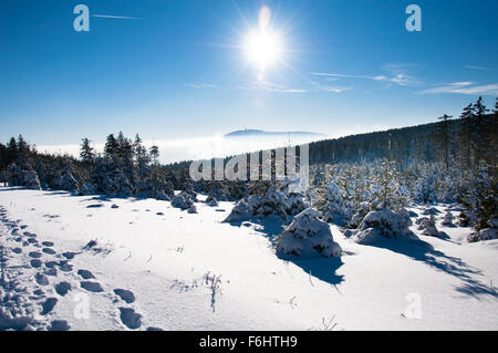 Winterlandschaft im Harz Stockfoto