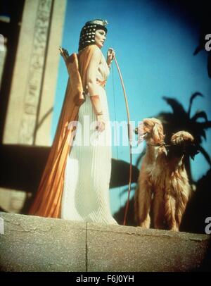 1954, Filmtitel: ägyptische, Regie: MICHAEL CURTIZ, im Bild: Tiere (mit Schauspielern), MICHAEL CURTIZ, Hund. (Bild Kredit: SNAP) Stockfoto