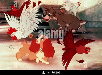 Filmtitel 1955: Susi und STROLCH, Regisseur: HAMILTON LUSKE, Studio: DISNEY. (Bild Kredit: SNAP) Stockfoto