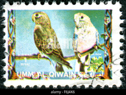 UMM AL-QUWAIN - ca. 1972: Porto Stempel gedruckt in Umm al-Quwain, Show Vogel Bourke Papagei (Neopsephotus Bourkii), ca. 1972 Stockfoto