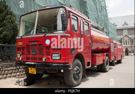 Hunde schlafen unter Feuerwehrfahrzeuge in Shimla, der Hauptstadt des nördlichen indischen Bundesstaat Himachal Pradesh, Indien Stockfoto