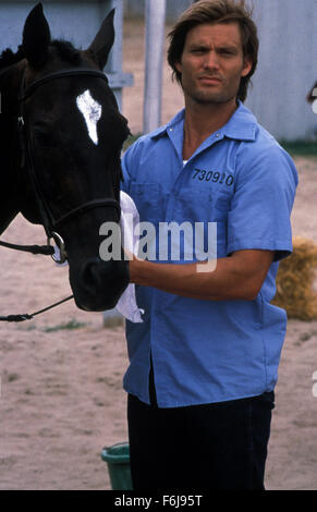 25. März 2003; Cambridge, ON, Kanada; CASPER VAN DIEN stars wie Eddie Burton in dem Drama "Big Spender" unter der Regie von Paul Schneider. Stockfoto