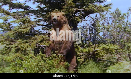 Datum der Freigabe: 24. Januar 2005. FILMTITEL: Grizzly man STUDIO: Lions Gate Films. PLOT: Eine verheerende und herzzerreißenden nehmen auf Grizzly Bear Aktivisten Timothy Treadwell und Amie Huguenard, die im Oktober 2003 während des Lebens unter den Grizzlys in Alaska getötet wurden. IM BILD:. Stockfoto