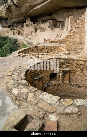 Cliff Palace, Klippe Wohnung, Colorado Stockfoto