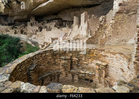 Cliff Palace, Klippe Wohnung, Colorado Stockfoto