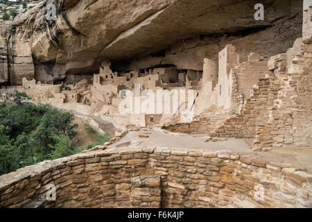 Cliff Palace, Klippe Wohnung, Colorado Stockfoto