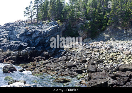 Ein Felsbrocken übersäte Strecke der Küste im Acadia National Park, Maine. Stockfoto