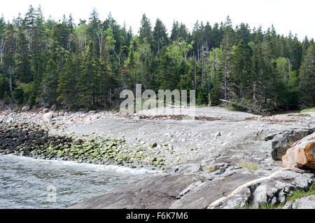 Ansicht von Hunters Beach von den Klippen im zeitigen Frühjahr, Acadia National Park, Maine. Stockfoto