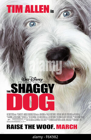 Datum der Freigabe: 10. März 2006. FILMTITEL: Shaggy Dog. STUDIO: Walt Disney Pictures. PLOT: Ein Mann versucht, ein normales Leben trotz der Tatsache, das er manchmal verwandelt sich in ein Schäferhund. IM BILD:. Stockfoto