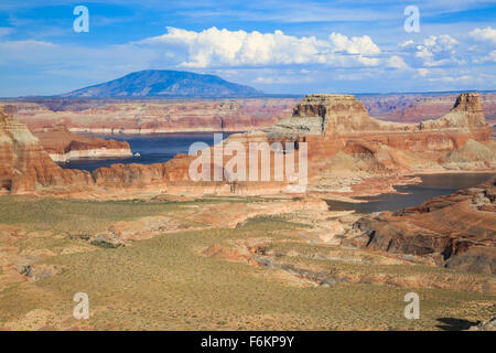 Lake Powell und Gunsight Butte in der Nähe von großen Wasser, Utah, mit Navajo Berg in der Ferne Stockfoto