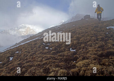 Trekker auf Kopra Grat in den Annapurnas absteigend Stockfoto