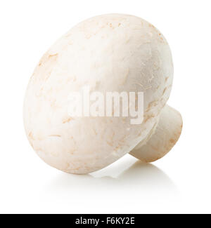 Champignon auf dem weißen Hintergrund isoliert. Stockfoto