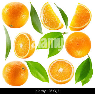 Sammlung von Orangen mit Blättern auf dem weißen Hintergrund isoliert. Stockfoto