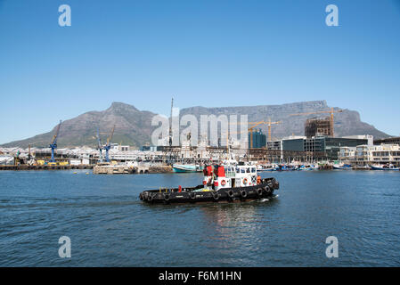 Ozean-Turmfalke im Gange Hafen von Kapstadt Südafrika Table Mountain Hintergrund zerren Stockfoto