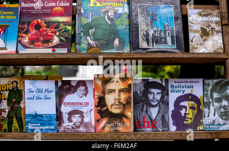 Antiquarische, gebrauchte Bücher über Ernesto Che Guevara und Fidel Castro auf dem Flohmarkt in den Straßen der Altstadt von Havanna, Held Stockfoto