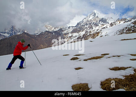 Trekker auf Kopra Grat in den Annapurnas Stockfoto