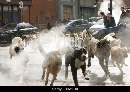 Datum der Freigabe: 16. Januar 2009. FILMTITEL: Hundehotel. STUDIO: DreamWorks SKG. PLOT: Zwei Kinder heimlich in neun streunende Hunde in einem leeren Haus statt. Bild: Filmszene. Stockfoto