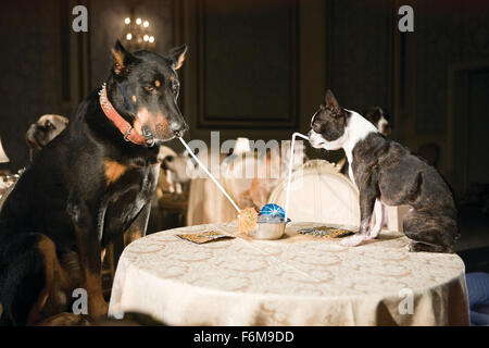 Datum der Freigabe: 16. Januar 2009. FILMTITEL: Hundehotel. STUDIO: DreamWorks SKG. PLOT: Zwei Kinder heimlich in neun streunende Hunde in einem leeren Haus statt. Bild: Filmszene. Stockfoto