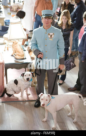 Datum der Freigabe: 16. Januar 2009. FILMTITEL: Hundehotel. STUDIO: DreamWorks SKG. PLOT: Zwei Kinder heimlich in neun streunende Hunde in einem leeren Haus statt. Bild: Filmszene. Stockfoto
