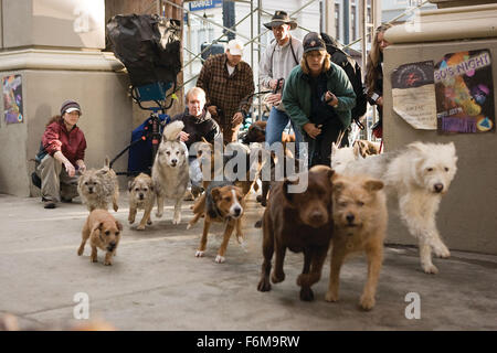 Datum der Freigabe: 16. Januar 2009. FILMTITEL: Hundehotel. STUDIO: DreamWorks SKG. PLOT: Zwei Kinder heimlich in neun streunende Hunde in einem leeren Haus statt. Bild: Filmszene. Stockfoto