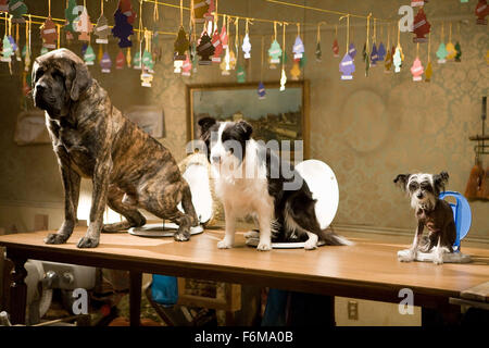 Datum der Freigabe: 16. Januar 2009. FILMTITEL: Hundehotel. STUDIO: DreamWorks SKG. PLOT: Zwei Kinder heimlich in neun streunende Hunde in einem leeren Haus statt. Bild: Filmszene. Stockfoto