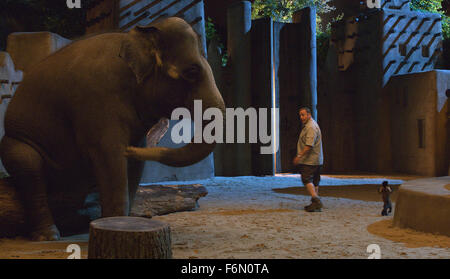 Erscheinungsdatum: 8. Juli 2011 Film Titel: Zookeeper STUDIO: Columbia Bilder Regie: Frank Coraci PLOT: die Tiere im Zoo von einem bestimmten entscheiden, ihren Code des Schweigens zu brechen, um zu helfen, ihre liebenswerten Zoowärter gewinnen die Aufmerksamkeit einer bestimmten Frau Bild: KEVIN JAMES als Griffin Keyes (Credit Bild: C Columbia Pictures/Entertainment Pictures) Stockfoto