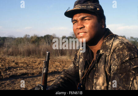 29. Mai 2014 - Hollywood, USA - FREEDOM ROAD (1979) (TVM). MUHAMMAD ALI, JAN KADAR (DIR). FRR 021. (Bild Kredit: C Gesicht zu Gesicht/Unterhaltung Bilder) Stockfoto