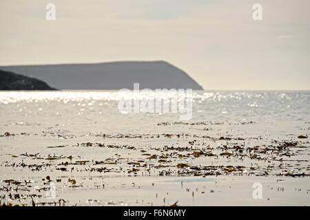 Hoppner Bay.  Als Teil der argentinischen Provinz Tierra Del Fuego verabreicht wurde Staten Island Tabu Tourismus s Stockfoto