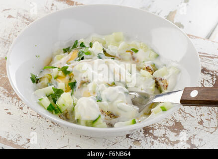 Traditionelle Sauce aus Joghurt, Gurke und frischen Kräutern. Selektiven Fokus Stockfoto