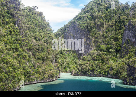 Zerklüfteten Kalksteininseln umgeben von Korallen wachsen in einer wunderschönen Lagune in einem abgelegenen Teil von Raja Ampat, Indonesien. Dieses schöne Stockfoto