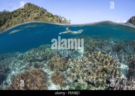 Schnorchler erforscht eine flache Lagune in einem abgelegenen Teil von Raja Ampat, Indonesien. Diese schöne Region ist bekannt als das Herz des Stockfoto