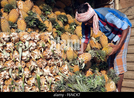 Das Bild der Ananas Entladung aufgenommen in Crawford Market, Mumbai, Indien Stockfoto