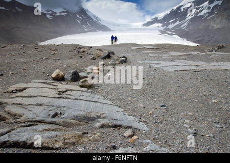 Athabasca Gletscher in Kanada zurück, verlassen Felsen zeigt glazialen Punkte markiert. Stockfoto