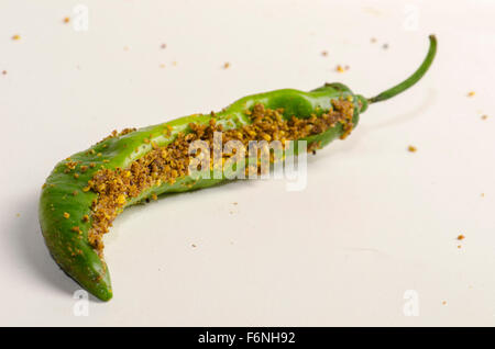 Masala Green Chili gefüllt, Jodhpur, Rajasthan, Indien, Asien Stockfoto