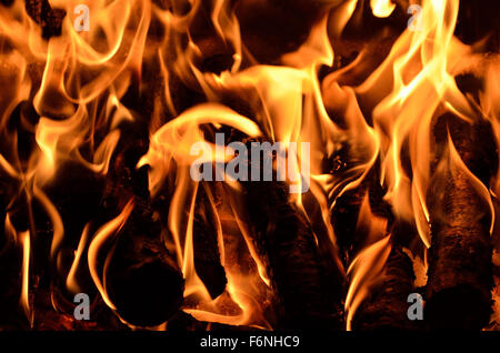 Heißen lebendige brennenden Birke einloggt Kamin an einem kalten Wintertag Stockfoto