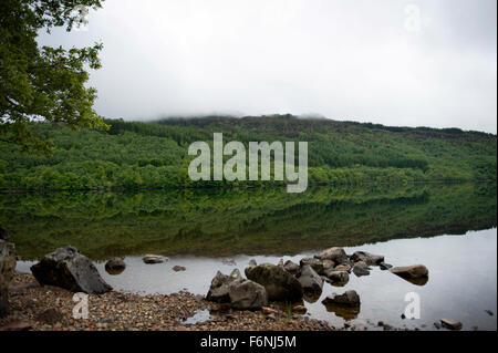 Malerisch und Tranqill Wasser des Loch Arkaig in den Highlands von Schottland.  Ruhige Gewässer geben perfekte Reflexionen Stockfoto