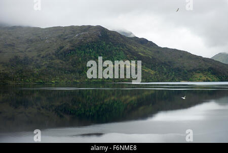 Malerischen und ruhigen Wasser des Loch Arkaig in den Highlands von Schottland.  Ruhige Gewässer geben perfekte Reflexionen Stockfoto