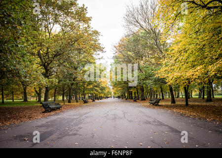 Regents Park, London im Herbst Stockfoto