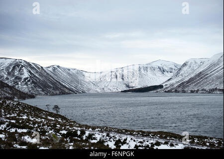 Suche entlang Loch Muick in Richtung der entfernten breiten Cairn Allt ein Dubh Loch und der waldreichen Umgebung Glas Allt Shiel Stockfoto