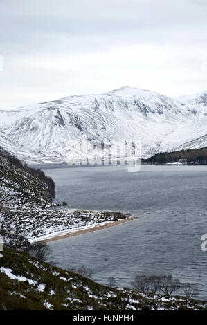 Suche entlang Loch Muick in Richtung der entfernten breiten Cairn Allt ein Dubh Loch und der waldreichen Umgebung Glas Allt Shiel Stockfoto